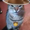 dyekwicf