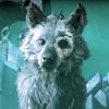 lazydog6797