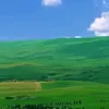 nganlexuan7