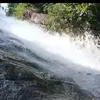 trancangiadung