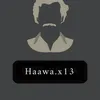 haawa.x13