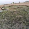 abdulsamad..3678