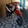 entol03
