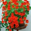 ashmalikhan63