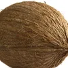 coconutboy67