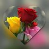 user7961776870081