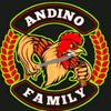 andino.131