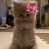 erin_020411