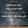 user9271849993172