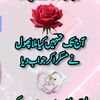 afridi.khan3785