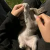 urlocalevaa3