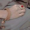 areebasheikh.19