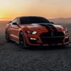mustang_boy1000