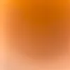 martinamarti477