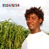 user4530574313532