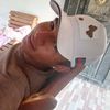 nelson.medina709