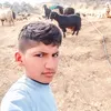 user5081124871416