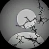 amar.ahmad435