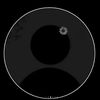 shaikhaalblooshi70
