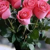 user2215861022086