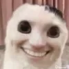 n0skibezpalcev