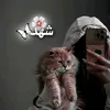user63808387629004