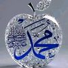 user91325386230966