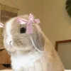 helenaviroupobrinkkj