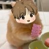 kim.dan922