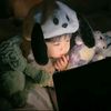zikthelittleboy