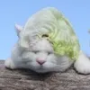 zen.keid