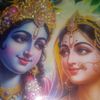 radhekrishnaa03