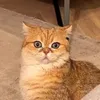 mjhzxwbuwbu