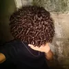 phzin_1921