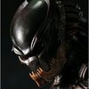 predator_mala.sangre