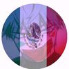 lin_ksk