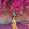 thanh.giang92