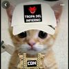 dylxn_el_enano431