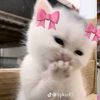safira.abdullah28