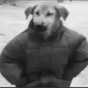 qyckbzvq9ej