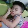 ilandle2