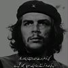 muhammadbilal786478