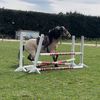 lexiharmer162