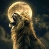 ahmedou.sylle