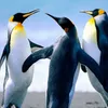 laprofehelen_