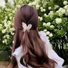 amina02913