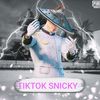 usersnicky1
