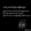 kachin.shayi.sha.t