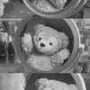 thuw_25_12