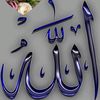 hadizaibrahim556